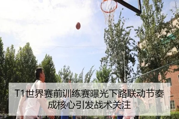 img_1791993777979_368_0_211.jpg
